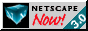 Netscape Ribbon